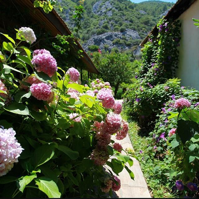 Dolunay Apart Hotel Çıralı Exterior foto